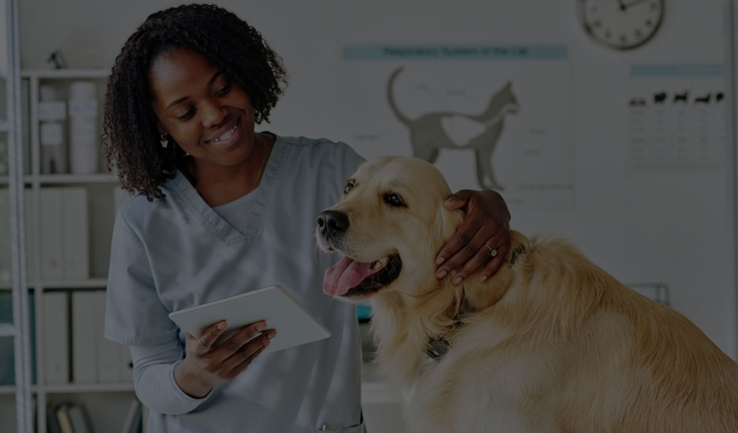 1-young-vet-using-tablet-pc-at-her-work-2202063207-transformed