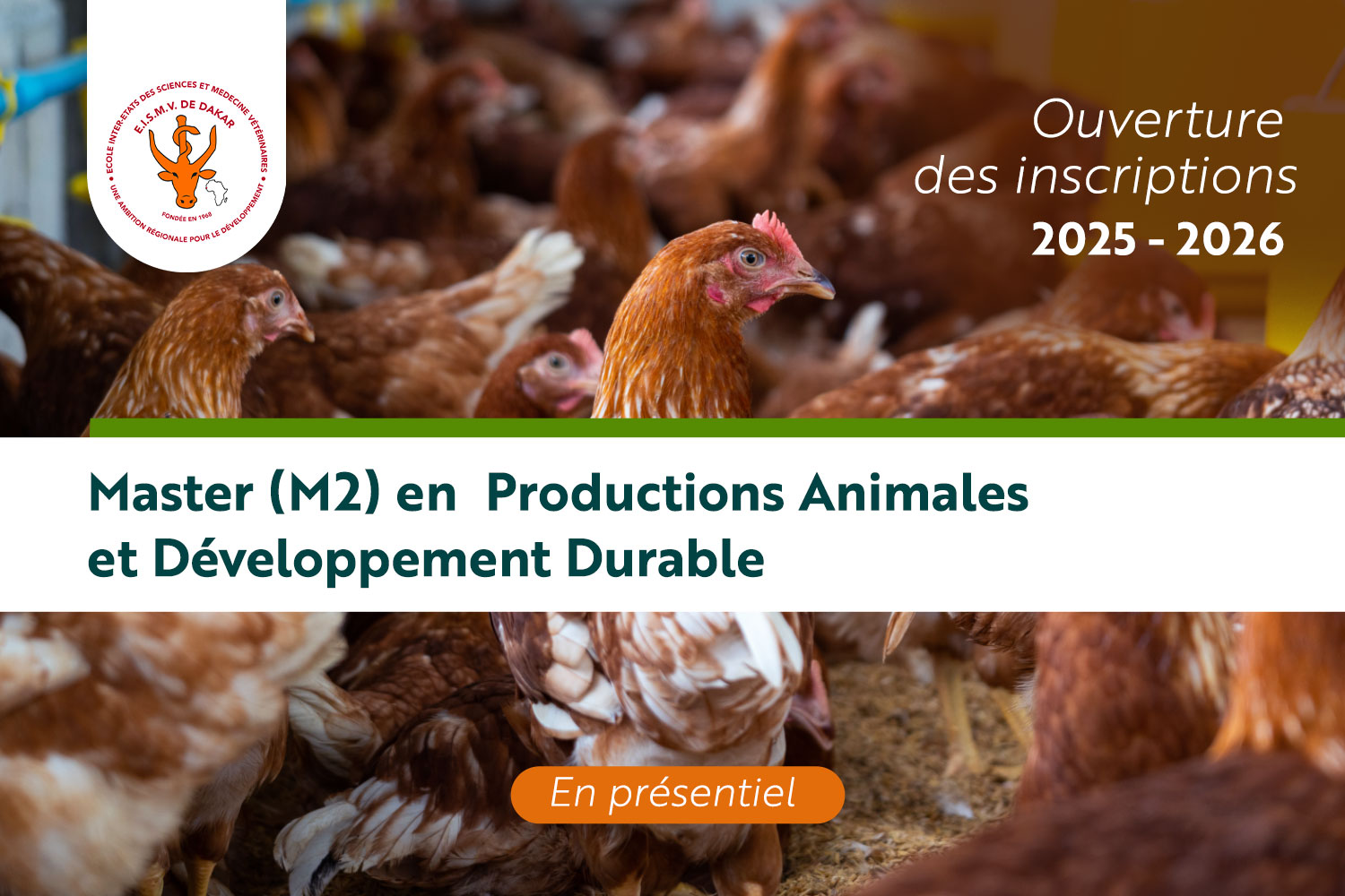 Master-(M2)-en-Master-Productions-Animales-et-Développement-Durable2025